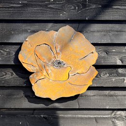 Vægblomst M