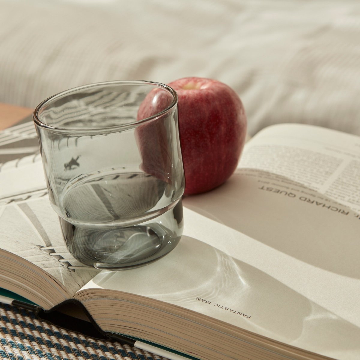 Piccadilly Tumbler Smoke (Set of 2)