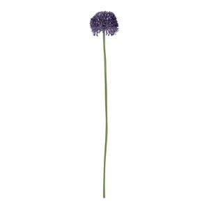 Allium small - Purple - 50cm