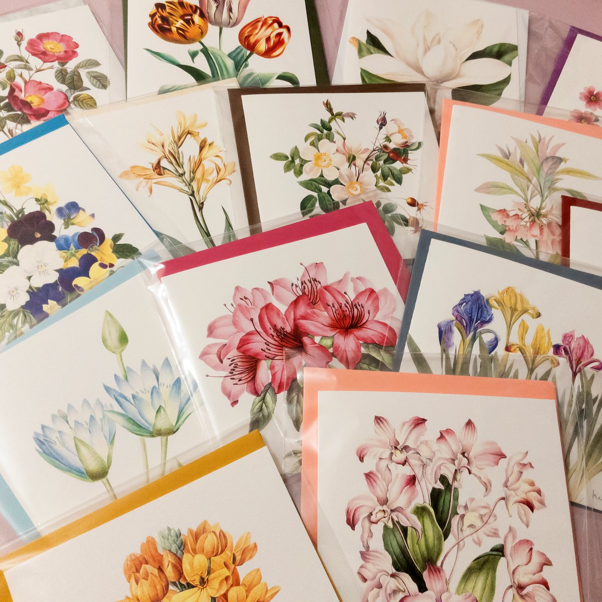 Cartes de vœux - Mélange fait main avec enveloppe - Botanical Vintage