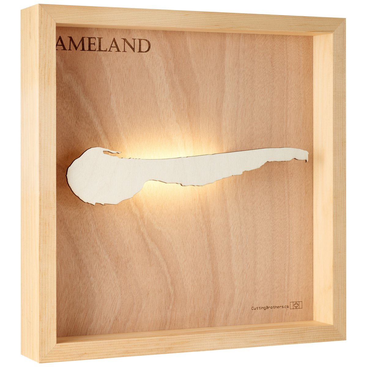 MAPA DE LUZ DE ISLA DE MADERA 3D DE AMELAND (LED)
