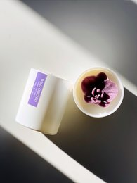 Wild orchid