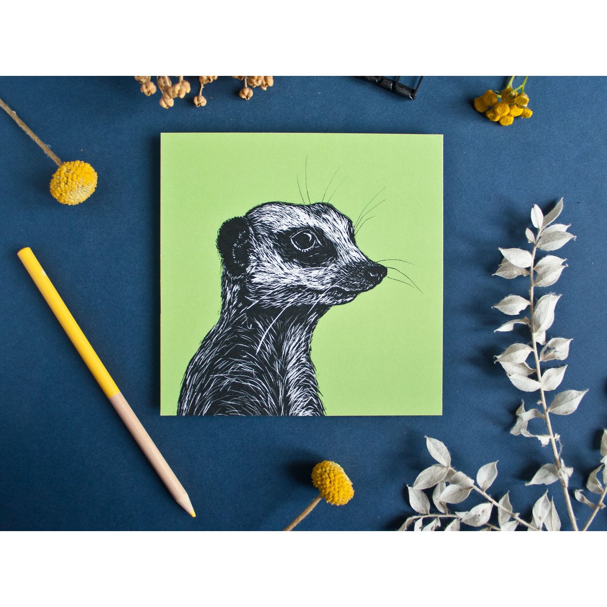 Quadratische Postkarte Erdmännchen