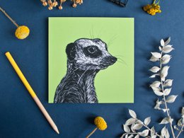 Square postcard meerkat