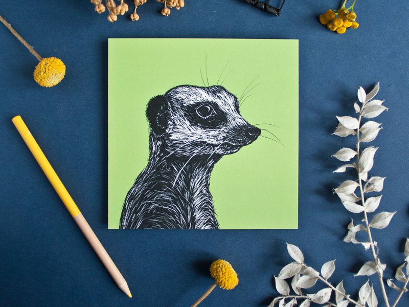 Square postcard meerkat