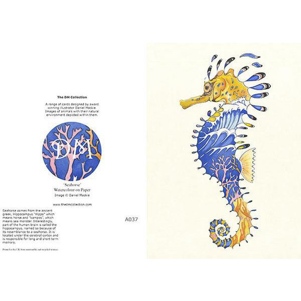 E037 - sea horse