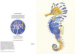 E037 - sea horse
