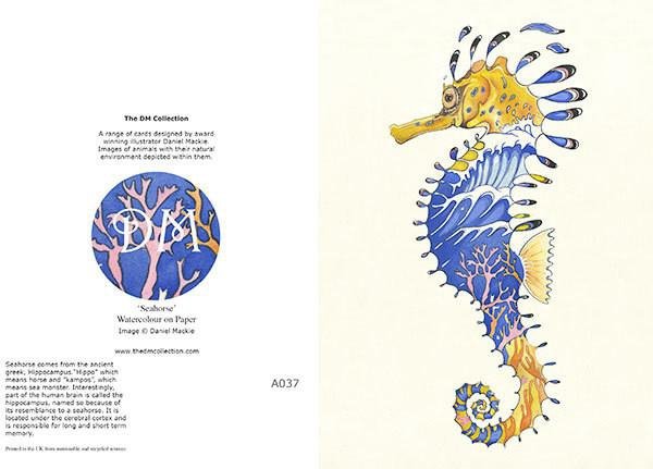 E037 - sea horse