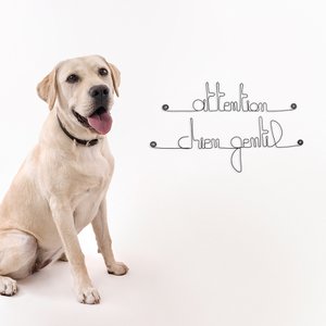 Türdekoration „Vorsicht, netter Hund“