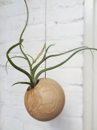 Esfera Colgante - Roble Claro