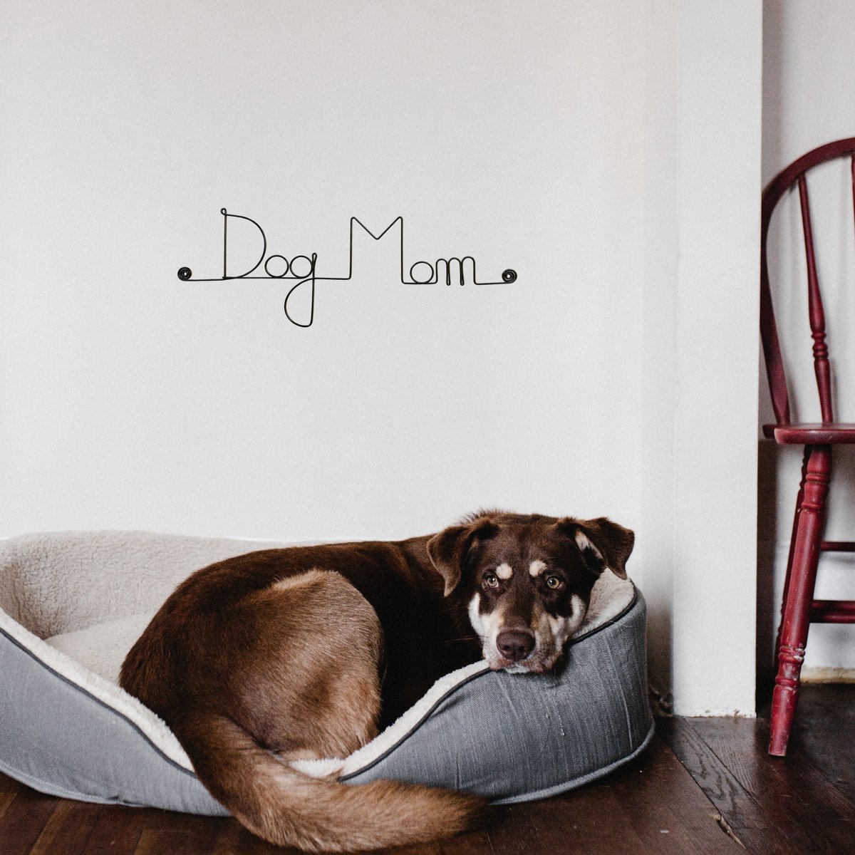 Decoración de pared de alambre "Perro" "Mamá Perro" - para fijar - Joyería de pared