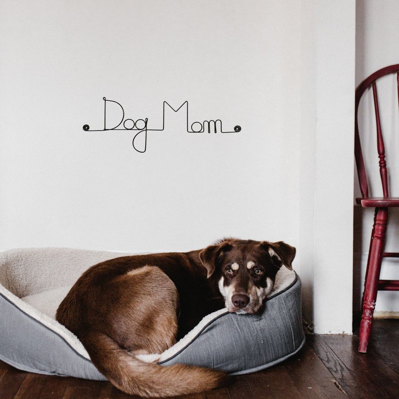 Decoración de pared de alambre "Perro" "Mamá Perro" - para fijar - Joyería de pared
