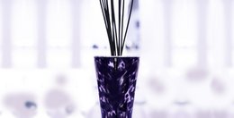 MYSTERY VELVET: Truffel, Ylang-Ylang & Vetiver