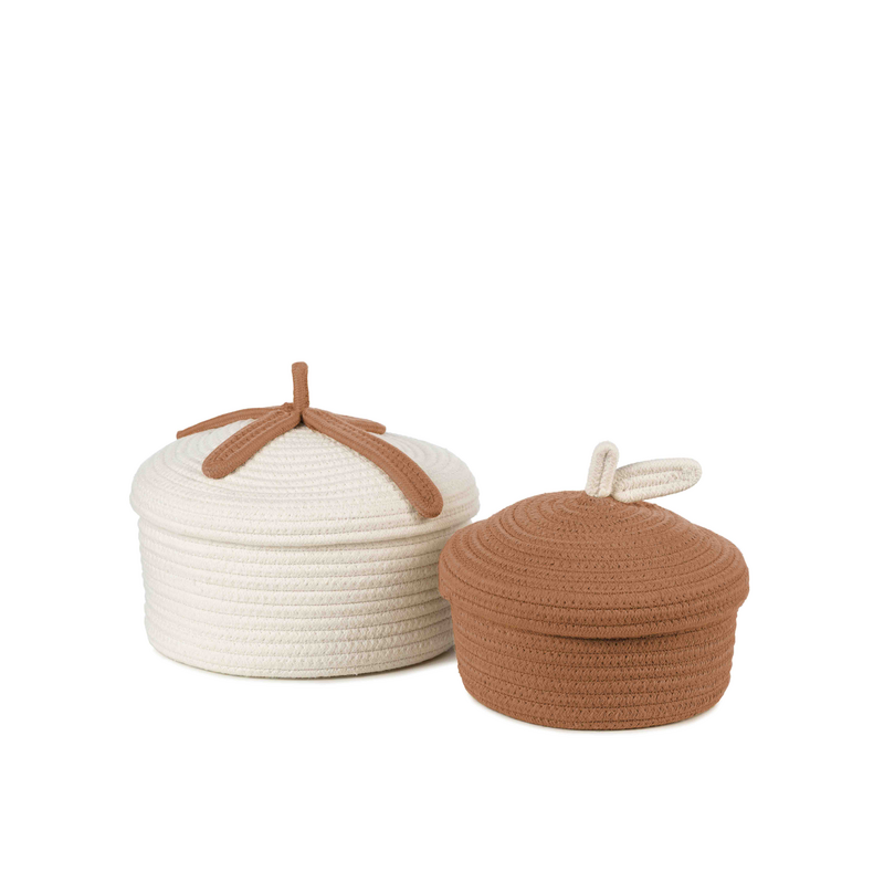 Bowie, earth baskets