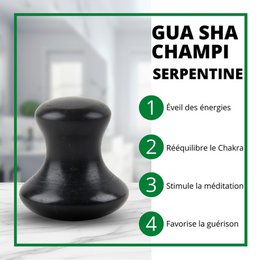 Champi Gua Sha – Black Serpentine – Relaxing Facial Massage – Repair, Soothing – Natural Stone – Gift Idea
