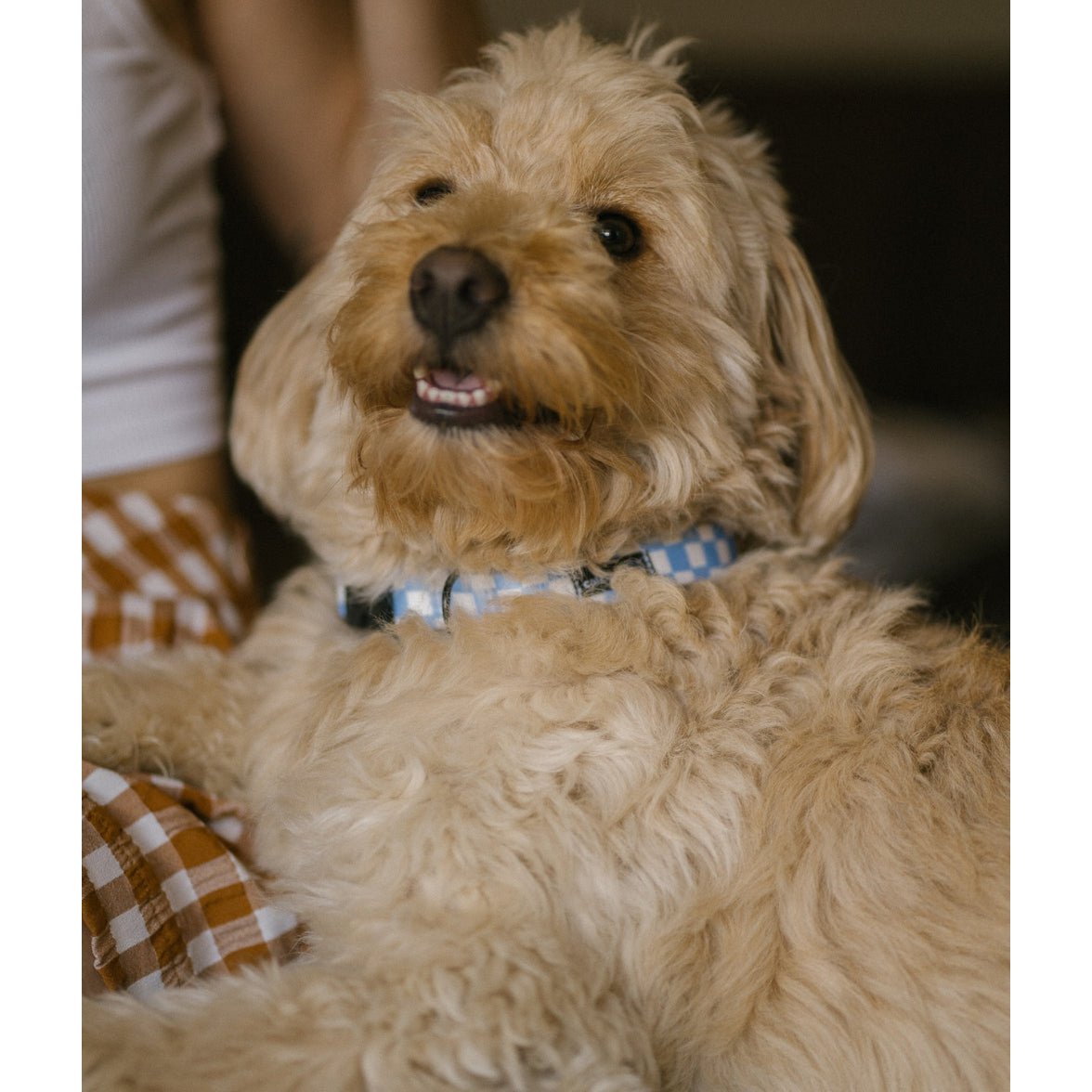 Halskette aus recyceltem PET, blaues Vichy-Design, Juno