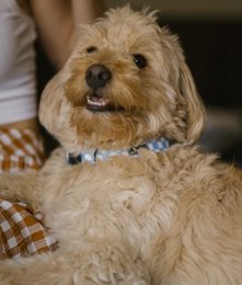 Halskette aus recyceltem PET, blaues Vichy-Design, Juno