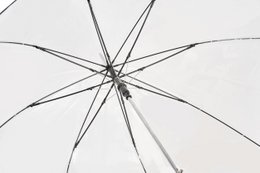 Großer automatischer transparenter Regenschirm | Winddicht | C-Sammlung