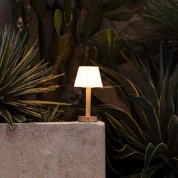 Zoë Light Brown Wooden Rechargeable Table Lamp
