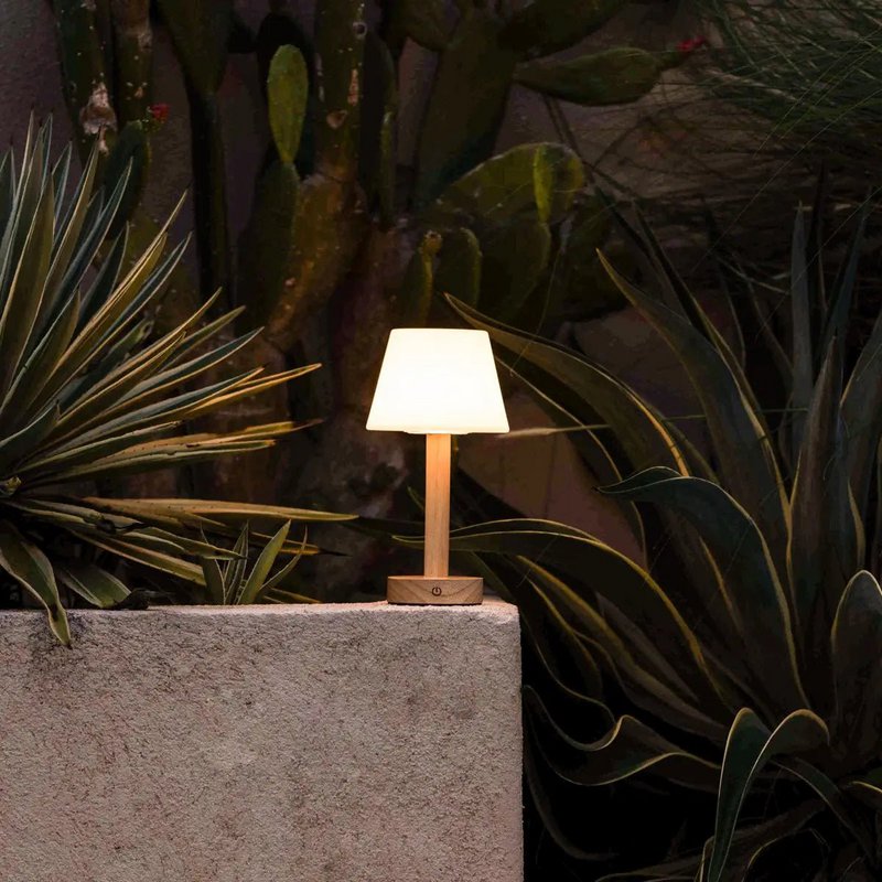Zoë Light Brown Wooden Rechargeable Table Lamp