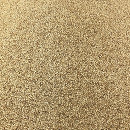 Graines de Sésame Bio en Vrac