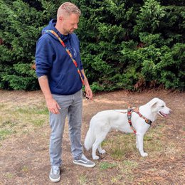 Tropical multi-position leash
