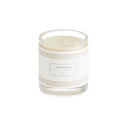 Scented candle | Aromatic fresh and green fragrance | ANDREIA | 220gr