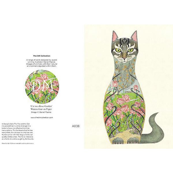 E038 - cat in rose garden