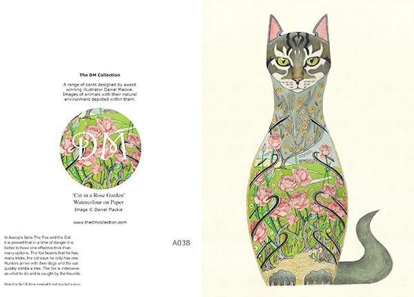 E038 - cat in rose garden