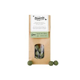 Kraft Bag 10 Pieces Seed Bomb