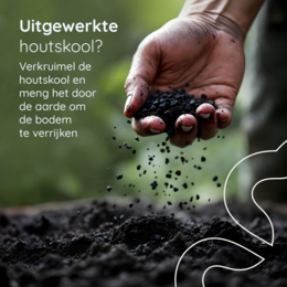 FreshAura Geurvreter Filter 4er-Pack