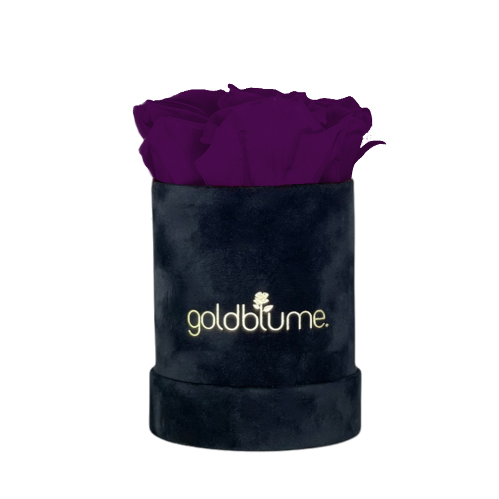 Velvet Black-collectie