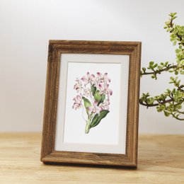 Mix di stampe d'arte botanica x16 | Illustrazione di fiori d'epoca | Decorazione artistica da parete