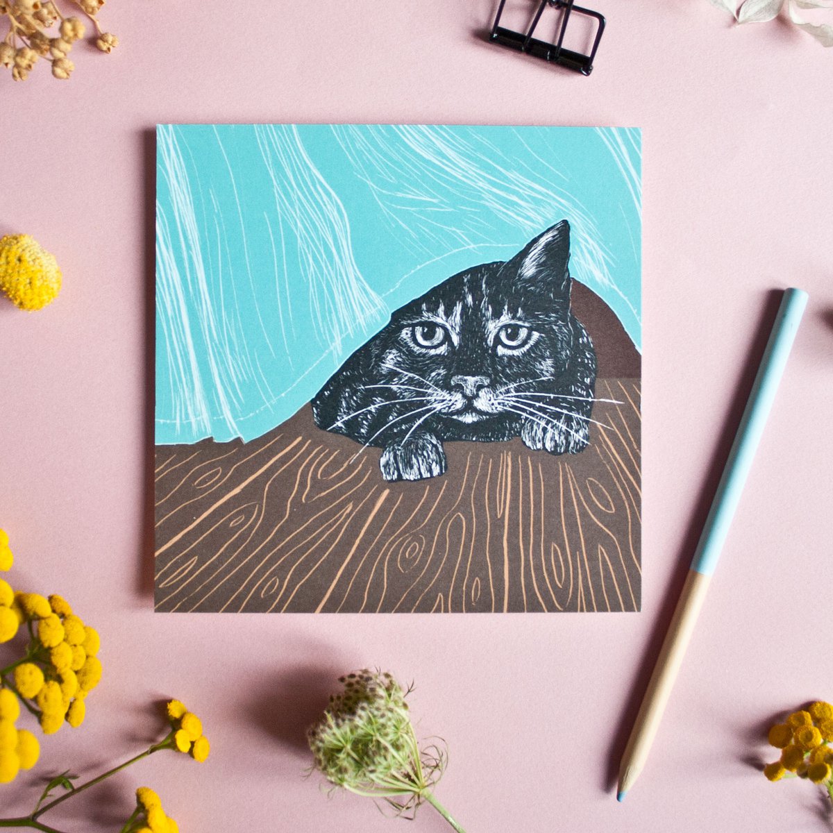 Quadratische Postkarte Katze & Vorhang