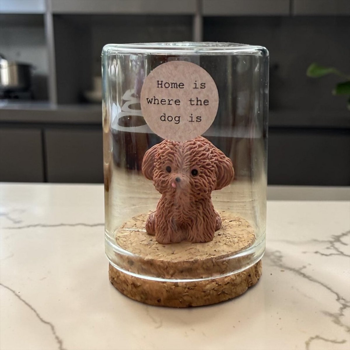 Labradoodle in stolp Home is where the dog is