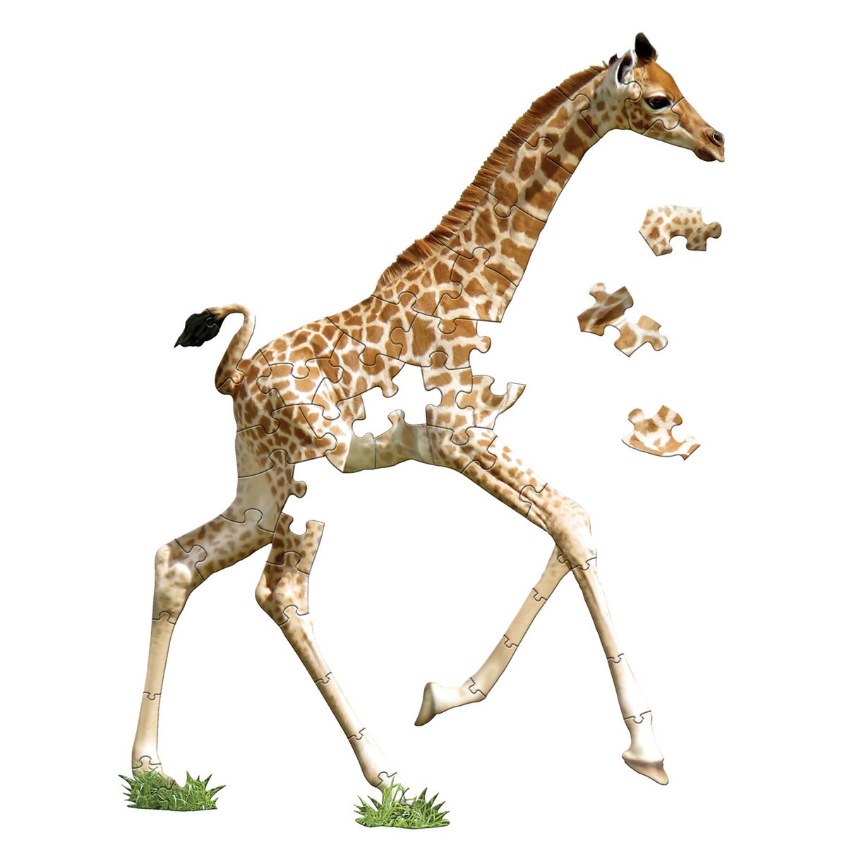 I Am Lil' - Giraffe