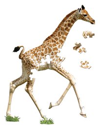 I Am Lil' - Giraffe