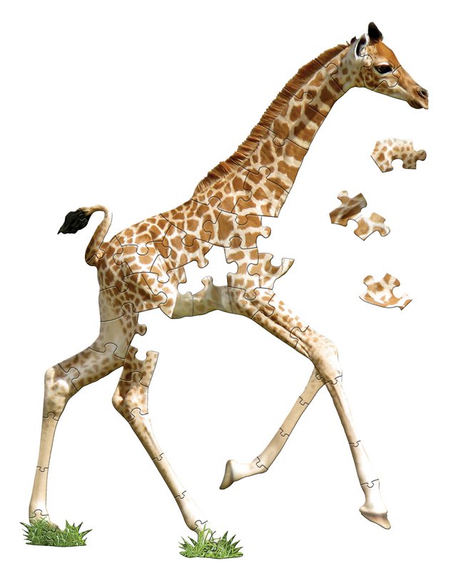 I Am Lil' - Giraffe