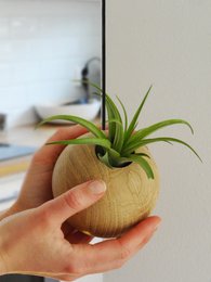 Esfera Colgante - Roble Claro