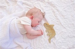 Crinkle Toy - Triceratops