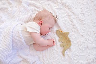 Crinkle-speelgoed - Triceratops