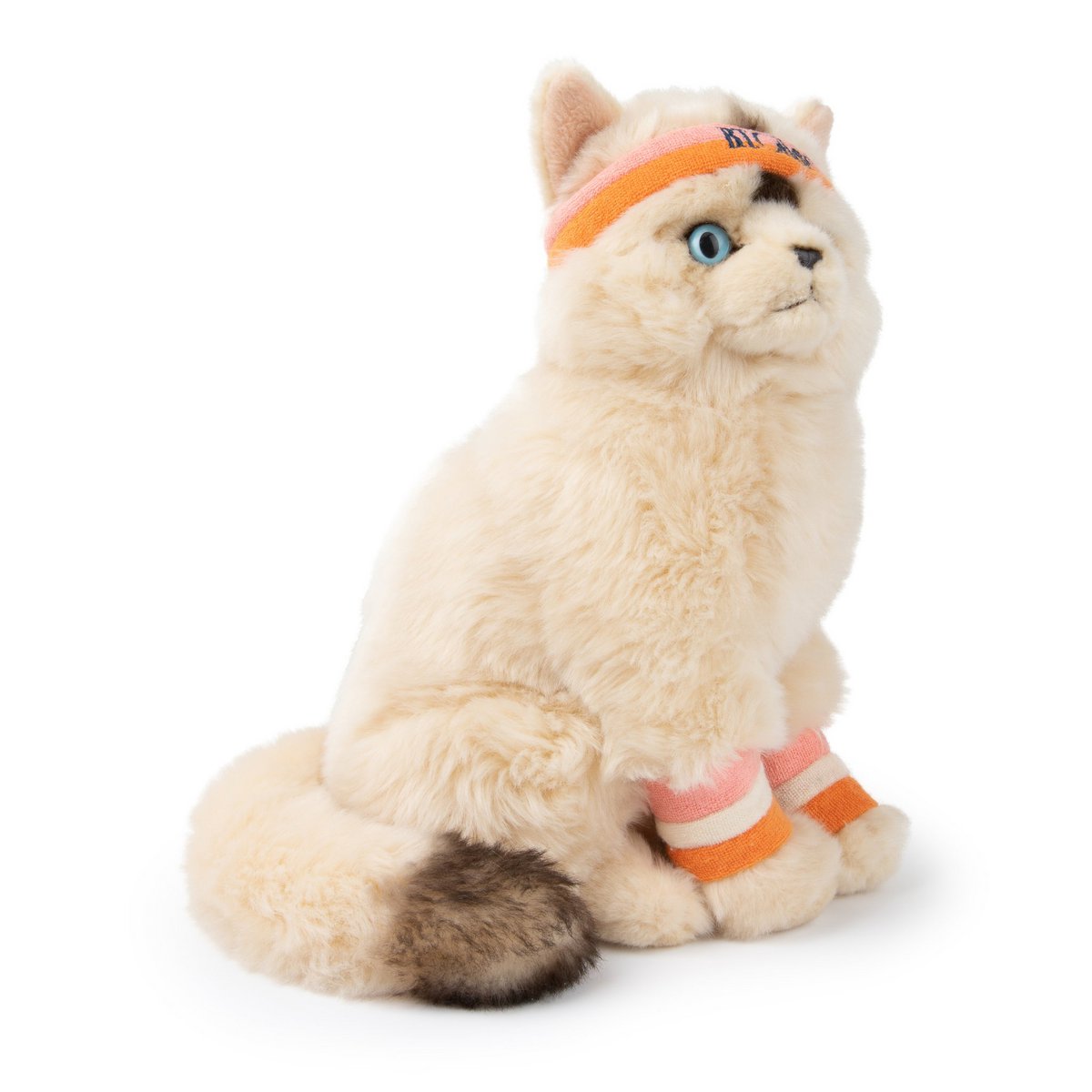 BTC - Dolly de Ragdoll - 32 cm -