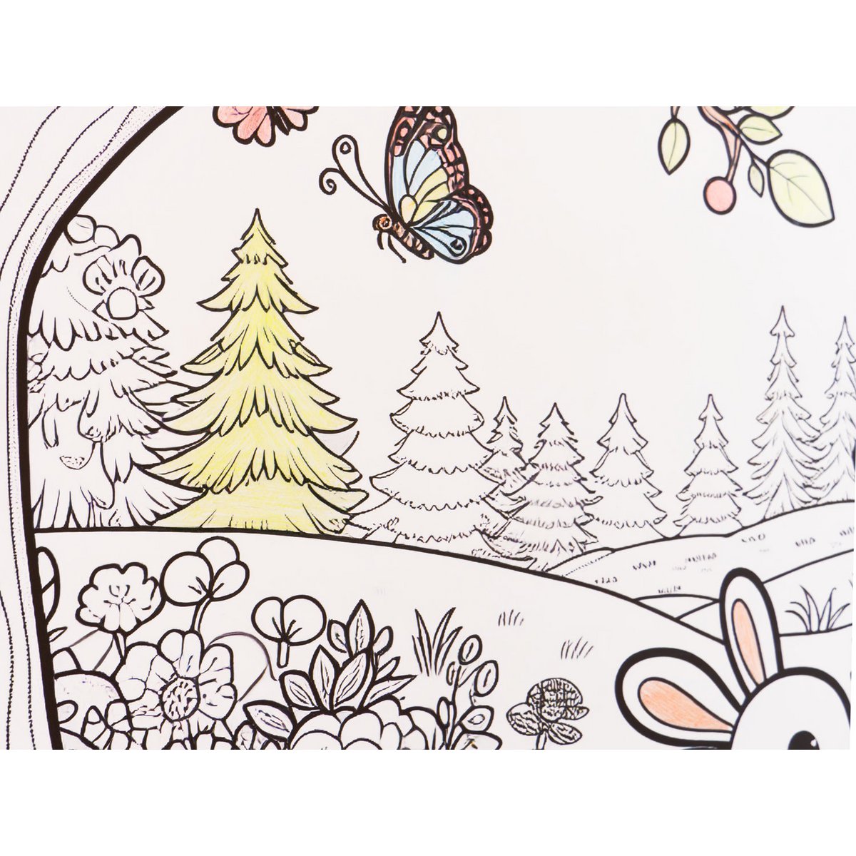 Paintable self-adhesive poster - Forest animals