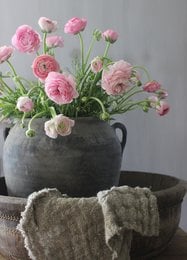 A6 postcard featuring a bouquet of pink and white ranunculus flowers in a dark ceramic vase, set on a textured gray background.