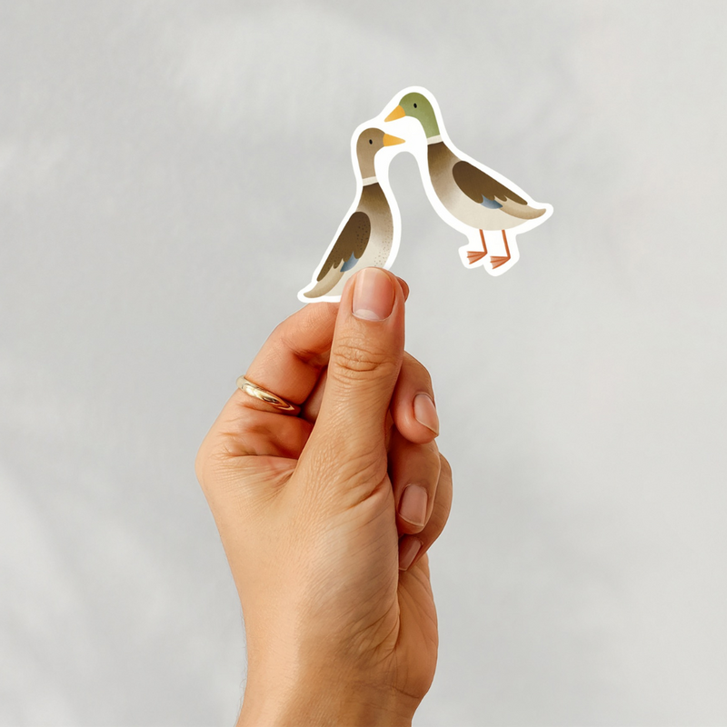 Sticker Laufenten Vinyl Aufkleber Gänse - Enten Pärchen Sticker Aufkleber Wasserflasche