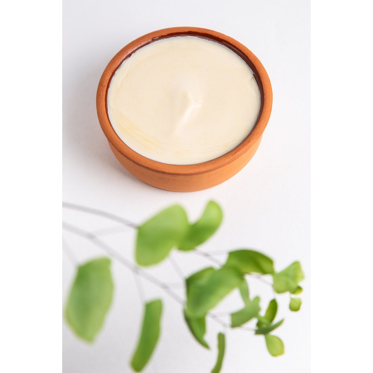 Pot de savon à vaisselle écologique