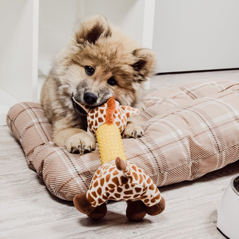 giocattoli NE & No® Dog Giraffe/ Plushant + Cockwork + Squeaker
