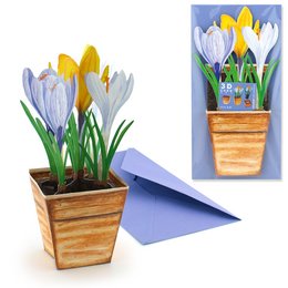 Colorful 3D flower card featuring crocuses in a wooden planter. The card has a textured, 3D design with yellow and white crocus flowers against a blue background.