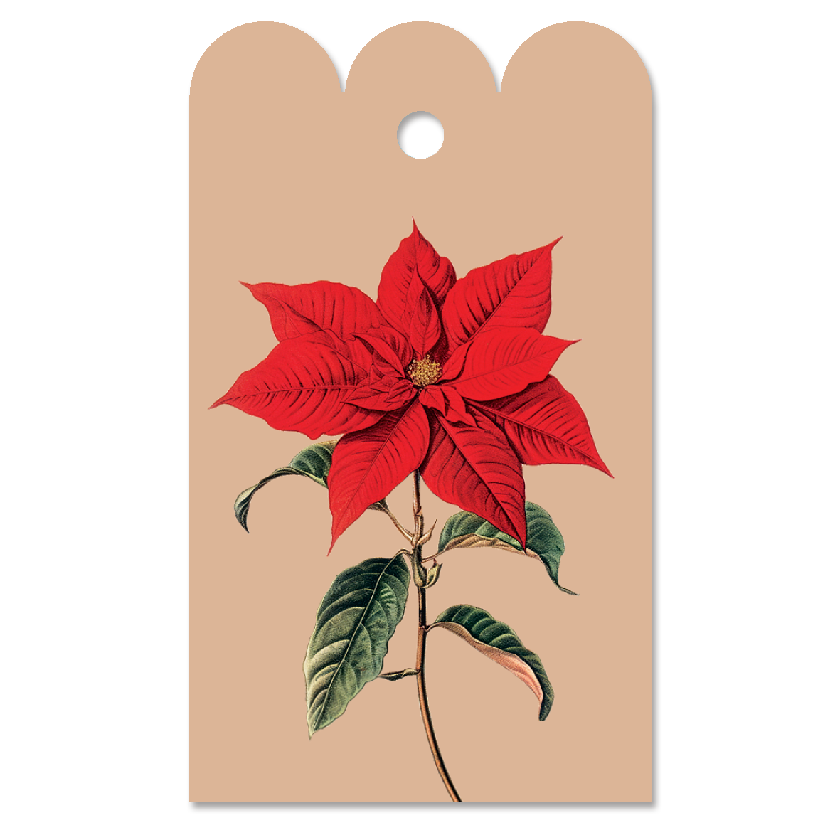 Gift Tag Christstern