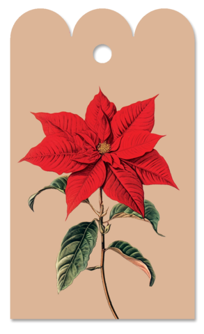 Gift Tag Christstern